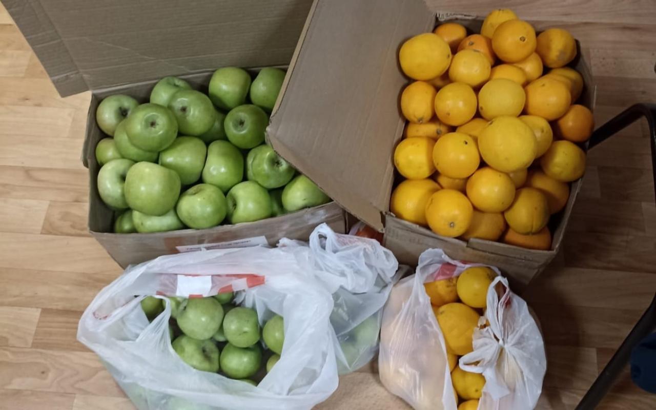 ФОТО к новости: Яблоки и апельсины творят новогодние чудеса