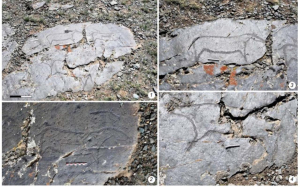 From Excavation to Publication: NSPU Professor's Exploration of Mongolia's Ancient Rock Art in the Altai Mountains
