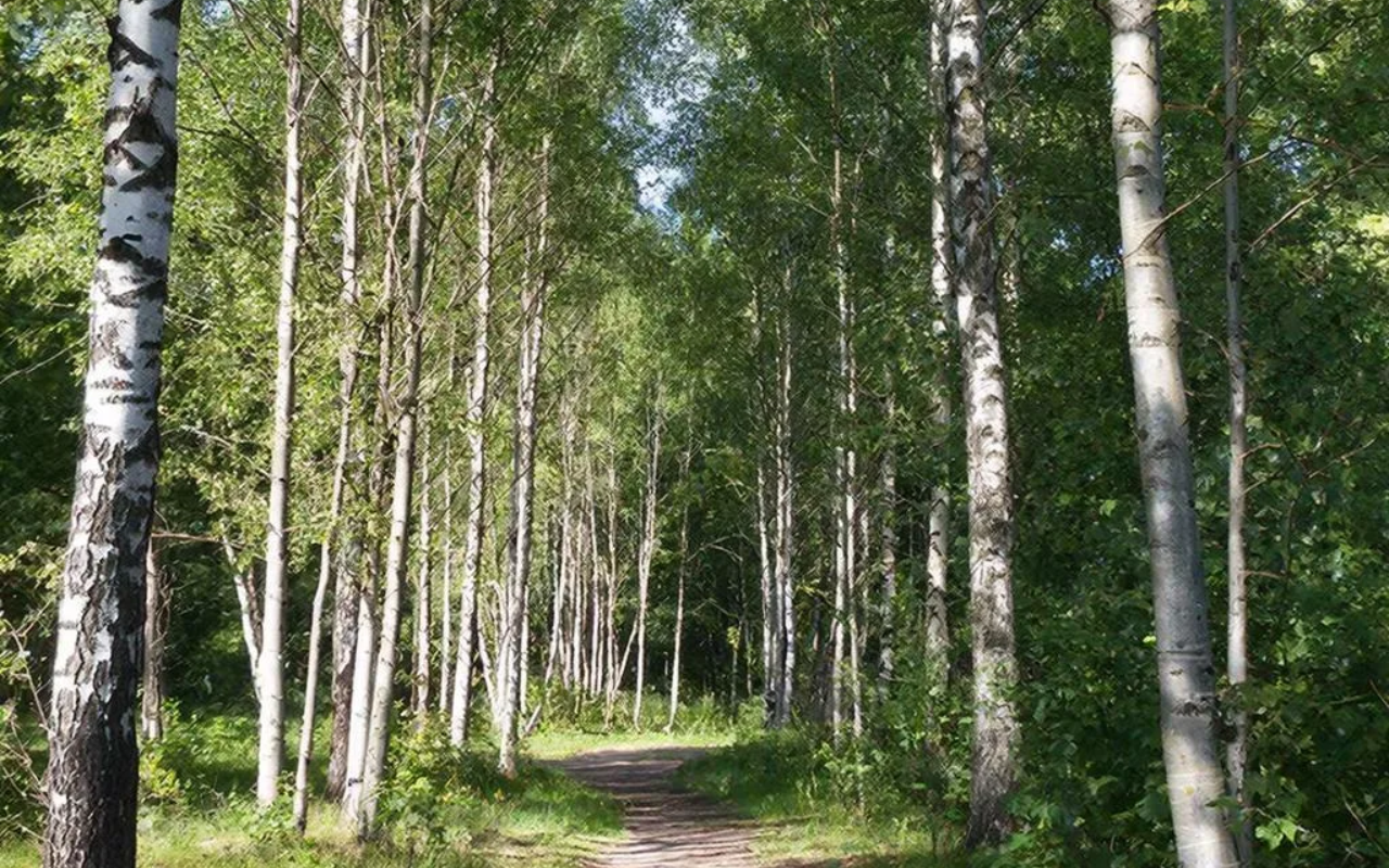 ФОТО к новости: Календарь аллергика: как подготовиться к волнам сезонного цветения растений-аллергенов
