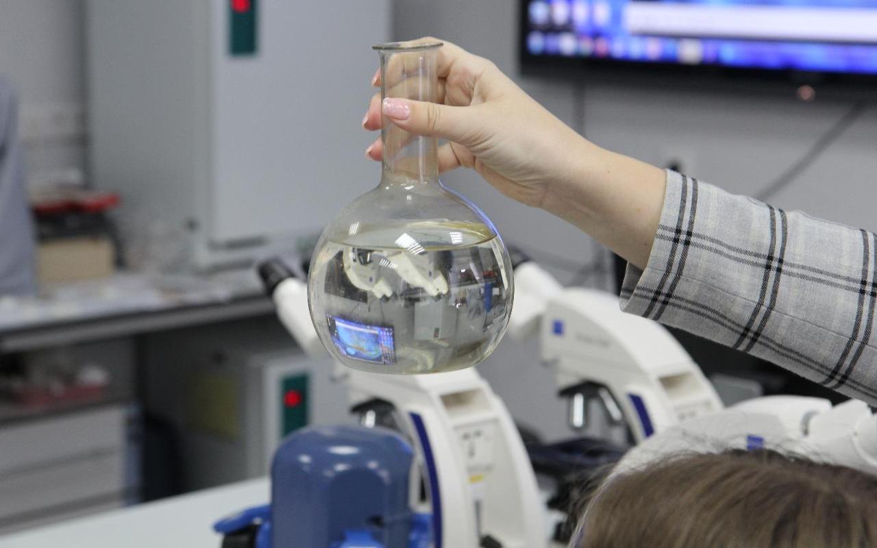 ФОТО к новости: Новосибирский педуниверситет подготовил плавный переход к приемной кампании 2027 года