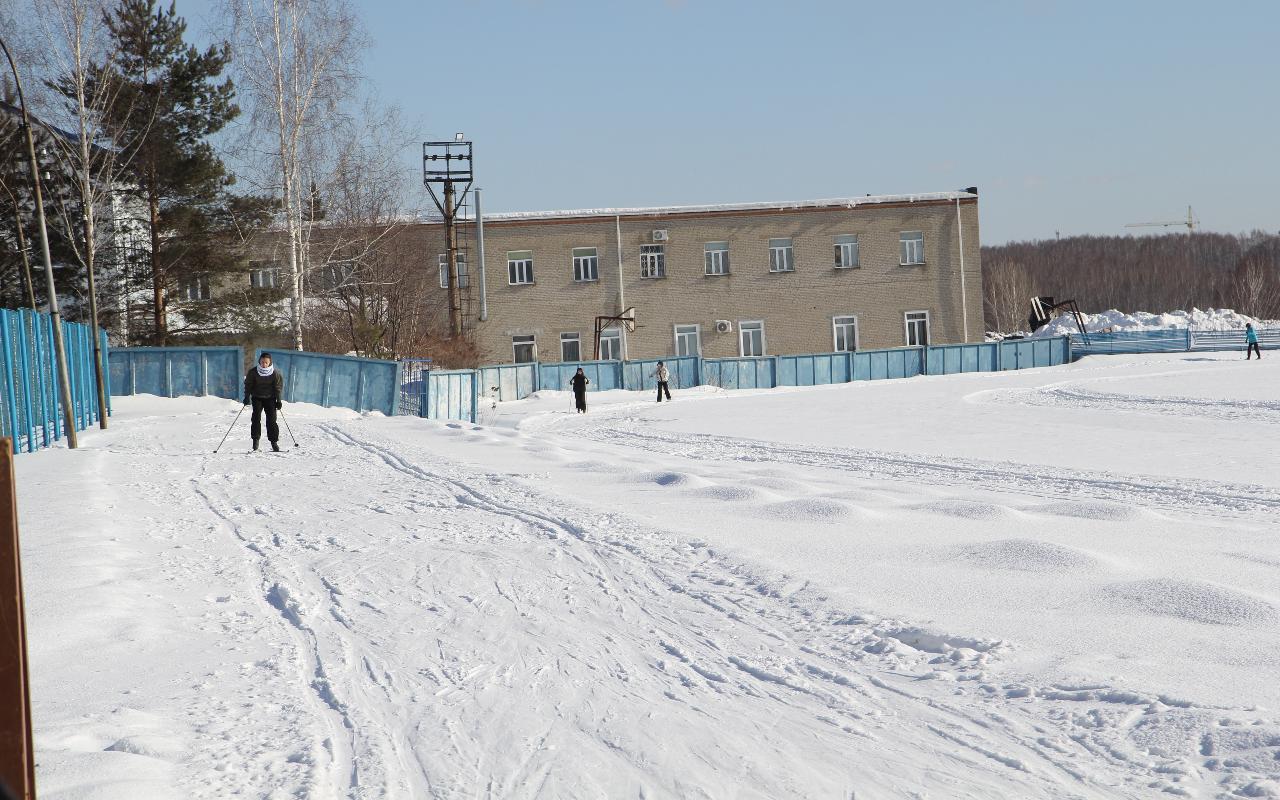 ФОТО к новости: Профессор НГПУ объяснил, как мартовские снегопады повлияют на урожайность в Новосибирской области в 2026 году