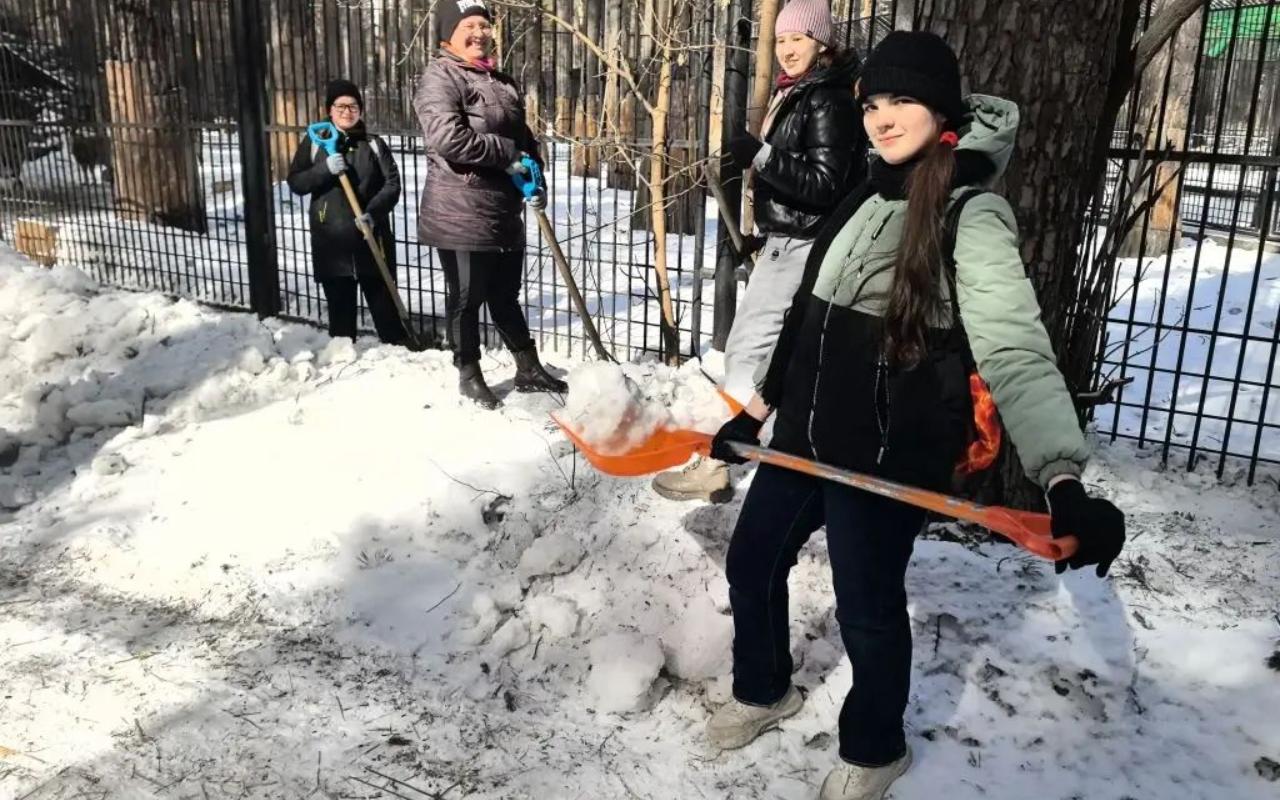 ФОТО к новости: Новосибирский зоопарк стал чище благодаря студентам НГПУ