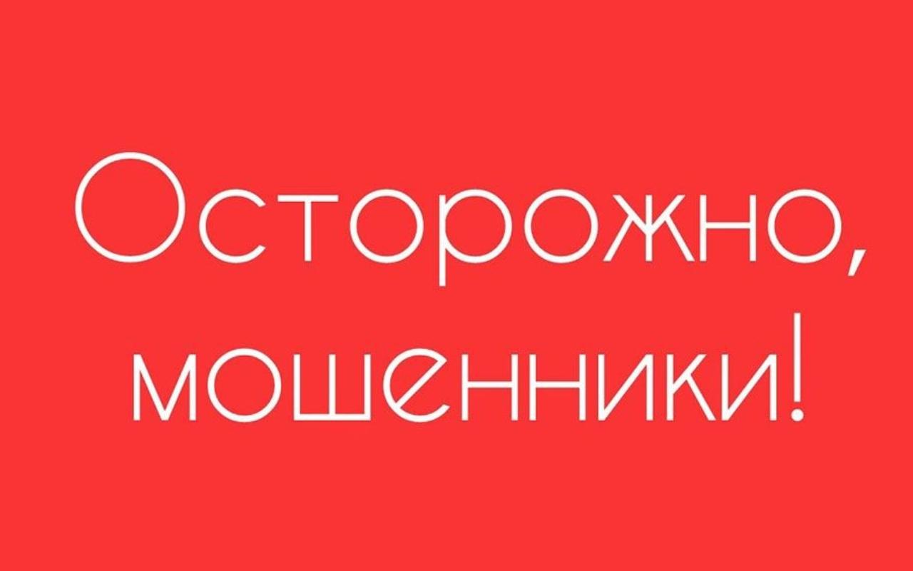 ФОТО к новости: Осторожно, мошенники: поступающих в НГПУ просят не поддаваться на новые уловки киберпреступников