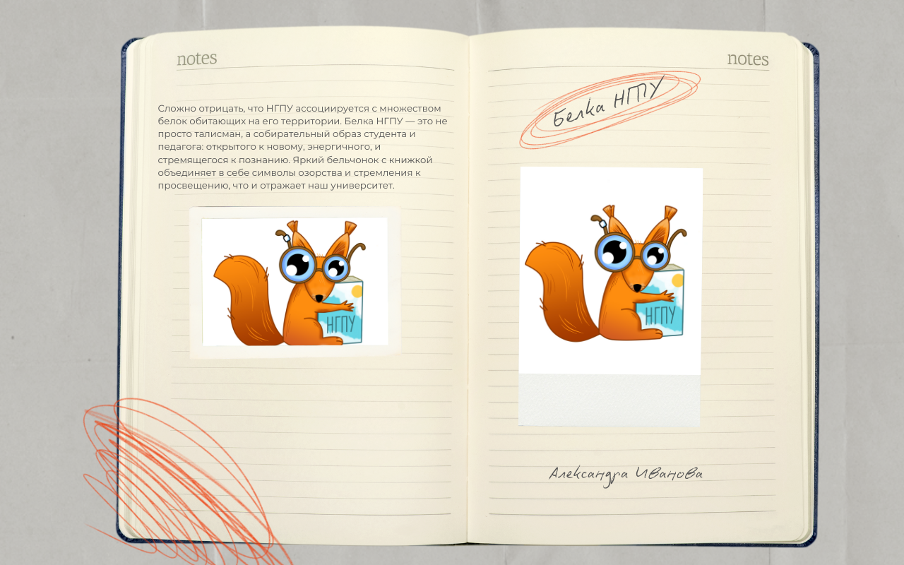 ФОТО к новости: В НГПУ стартовал финальный этап голосования за официальный талисман университета