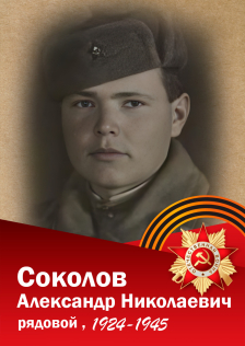 Соколов Александр Николаевич