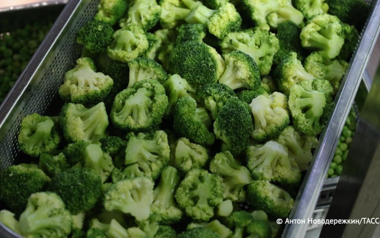 ФОТО к новости: Ученые доказали эффективность содержащегося в брокколи сульфорафана для лечения рака
