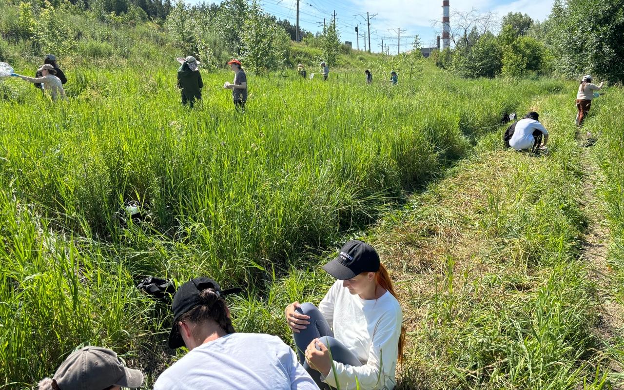 ФОТО к новости: Более 800 насекомых собрали студенты НГПУ во время полевой практики