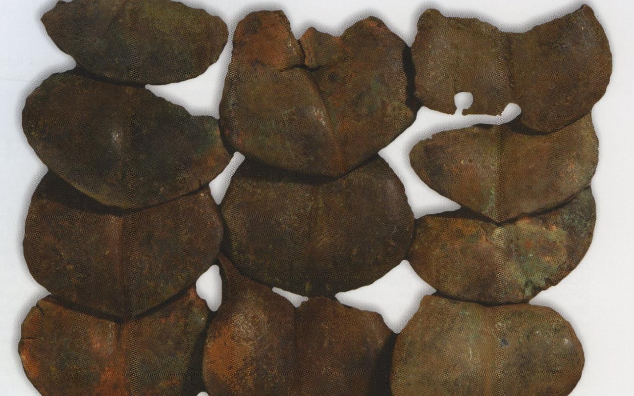 ФОТО к новости: Археолог из НГПУ доказал: древние жители Евразии делали доспехи из конских копыт