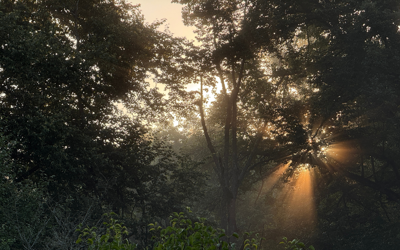 ФОТО к новости: От лекций до экотроп: преподаватель НГПУ прошёл школу Фонда Потанина