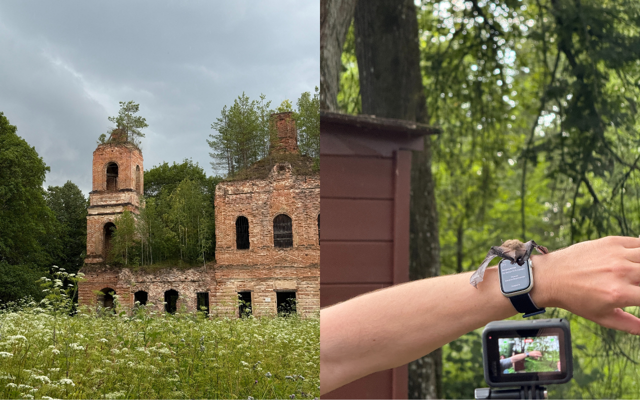 ФОТО к новости: От лекций до экотроп: преподаватель НГПУ прошёл школу Фонда Потанина