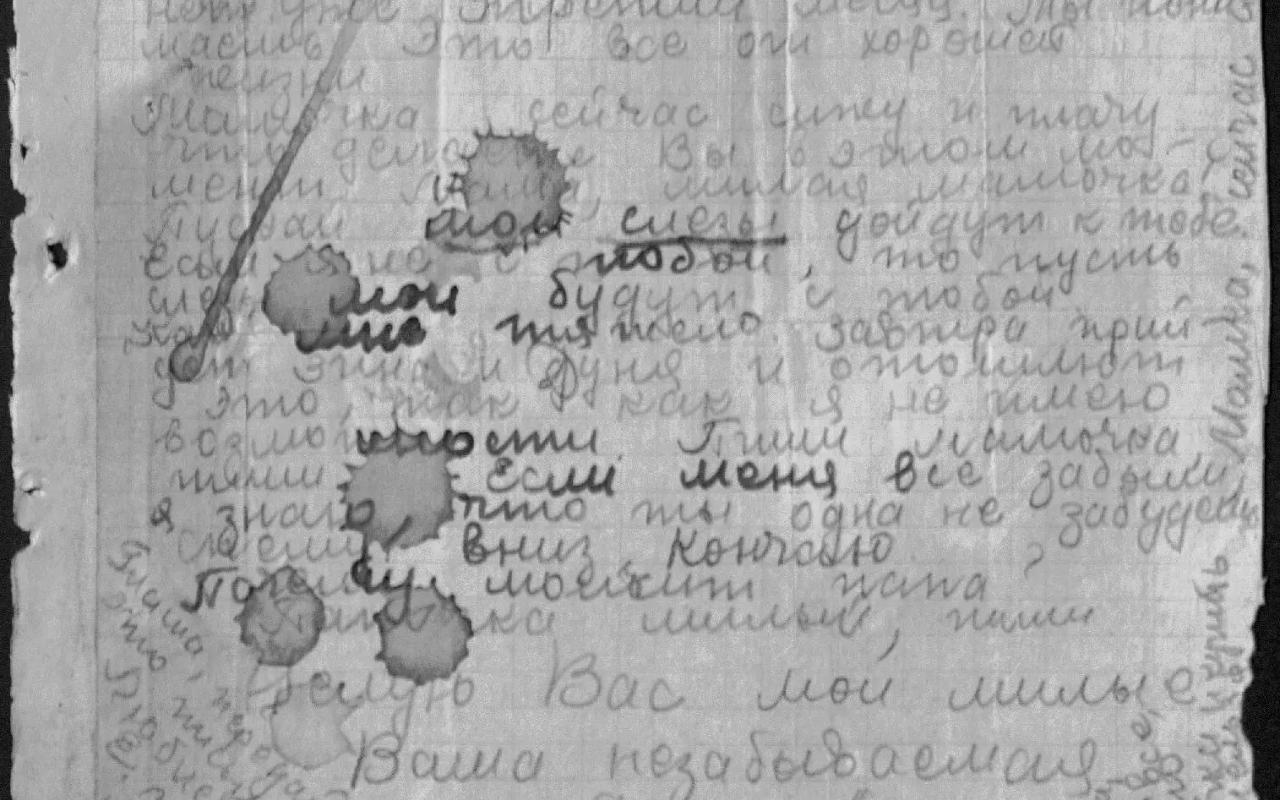 ФОТО к новости: Голоса из нацистской неволи: в НГПУ работают над увековечиванием памяти о советских людях, перенесших гитлеровскую оккупацию 