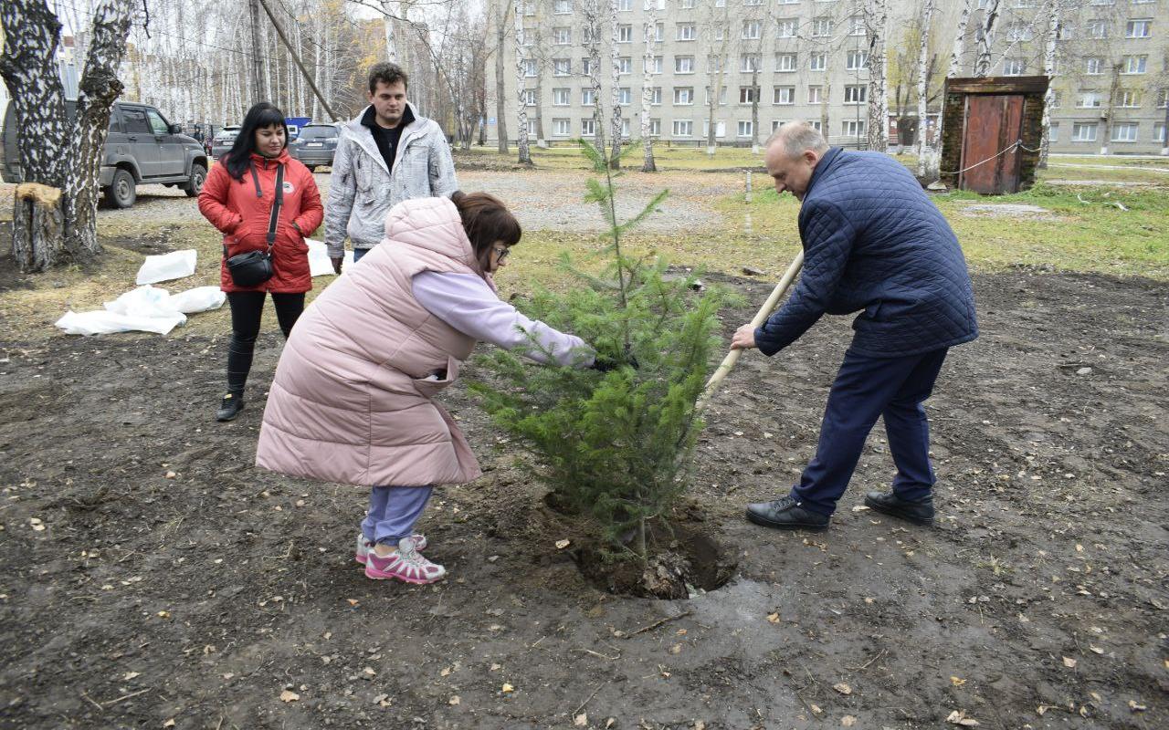 ФОТО к новости: Когда деревья будут большими: масштабная реконструкция территории новосибирского педвуза