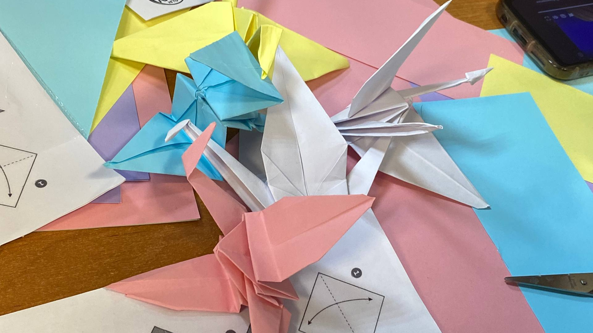 ФОТО к новости: В НГПУ прошёл «Орнитологический калейдоскоп», объединивший студентов, школьников и жителей района