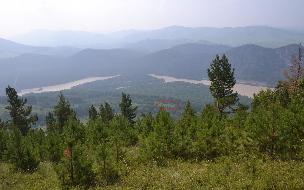 ФОТО к новости: Археолог из НГПУ доказал: древние жители Евразии делали доспехи из конских копыт