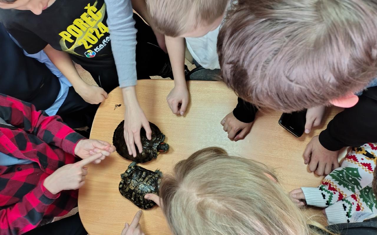 ФОТО к новости: Научные лаборатории ИЕСЭН вновь встречают юных исследователей окружающей среды