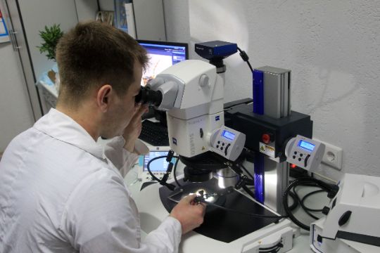 магистратура по биологии что дает. Смотреть фото магистратура по биологии что дает. Смотреть картинку магистратура по биологии что дает. Картинка про магистратура по биологии что дает. Фото магистратура по биологии что дает